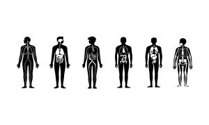 Основни знания за човешкото тяло